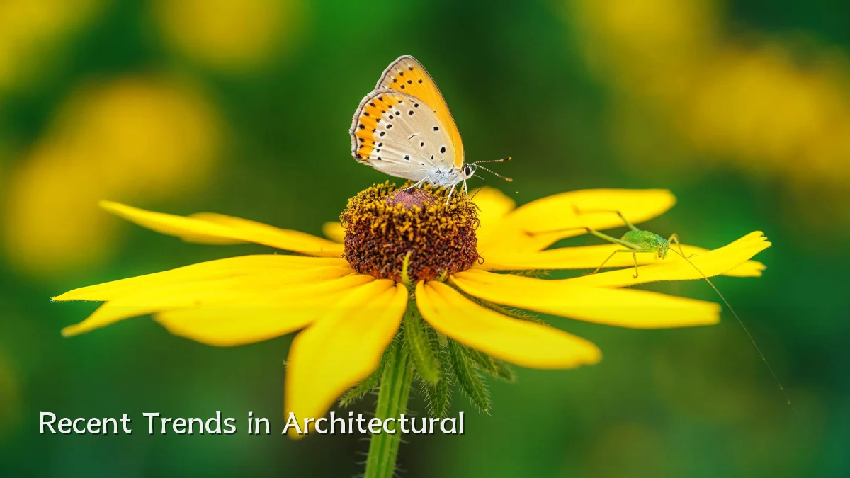 Recent Trends in Architectural