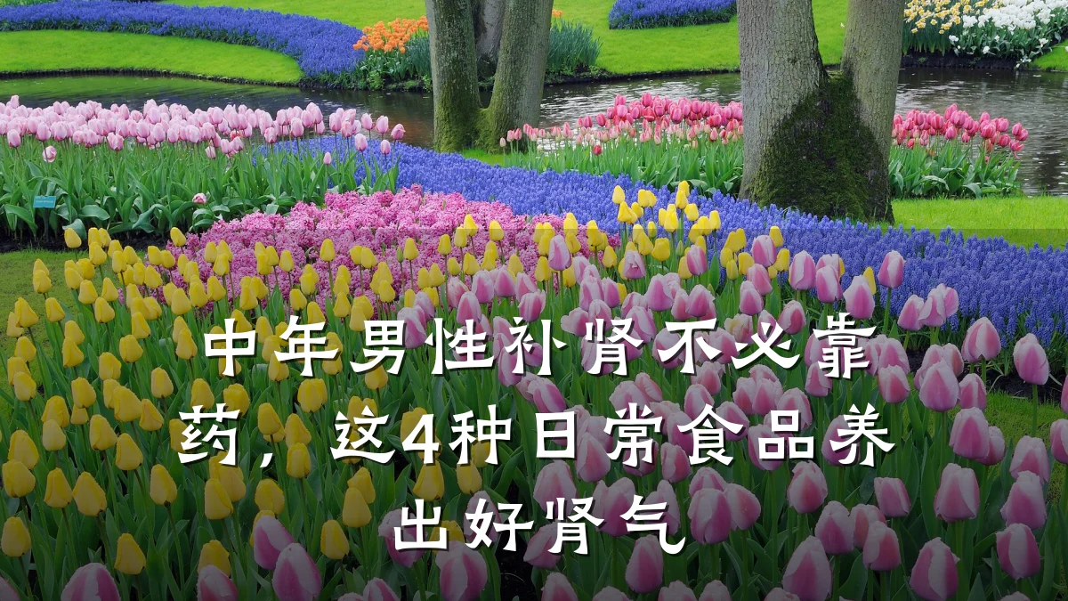 中年男性补肾不必靠药,这4种日常食品养出好肾气