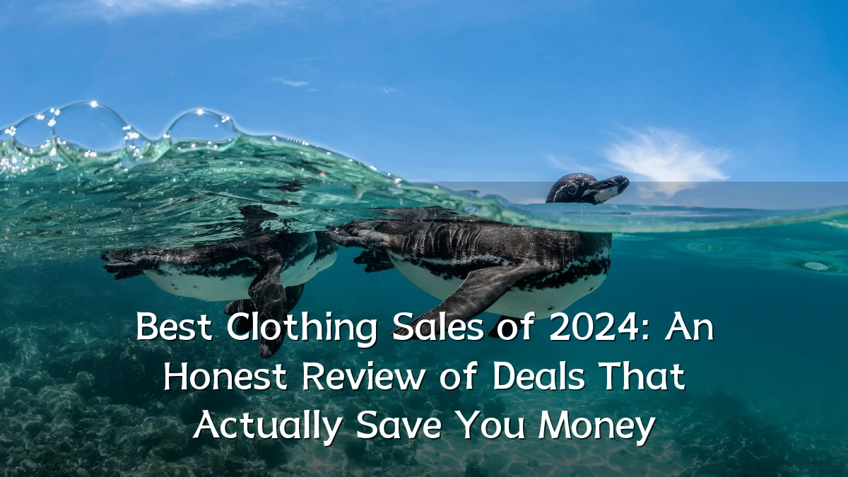 Best Clothing Sales of 2024: An Honest Review of Deals That Actually Save You Money