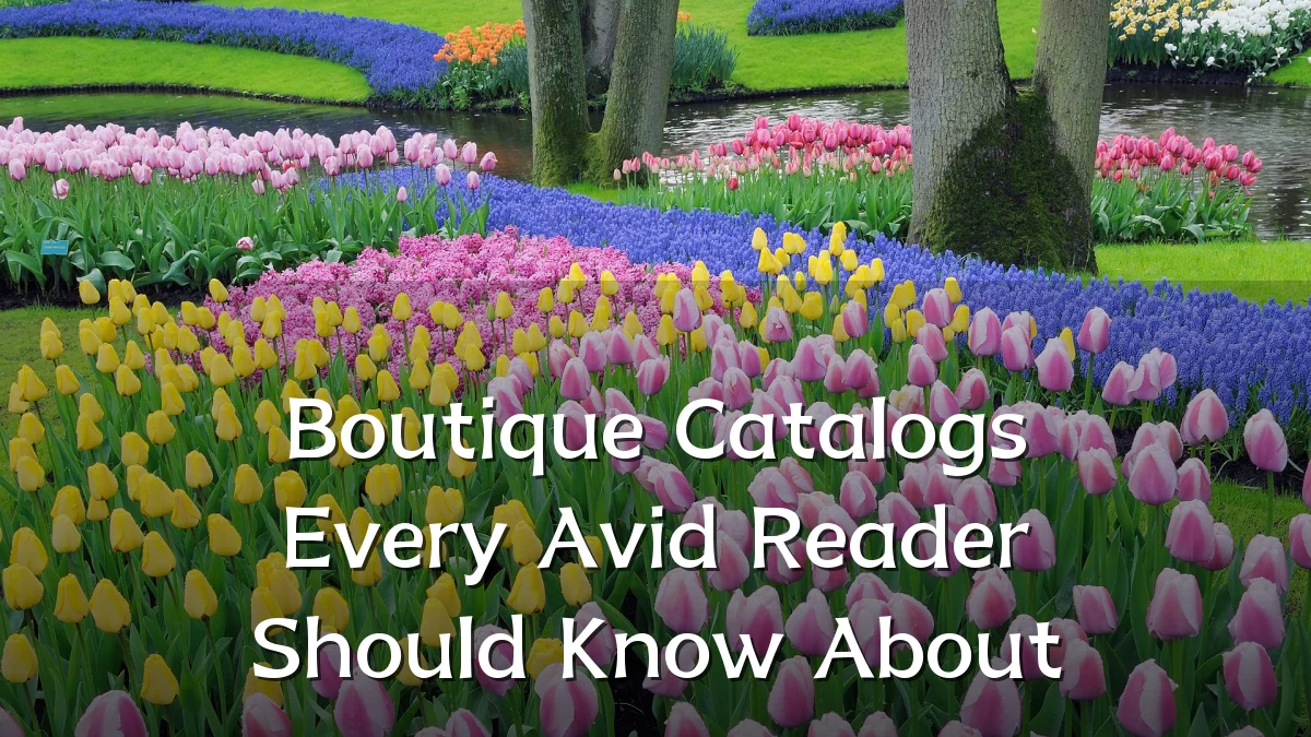 Boutique Catalogs Every Avid Reader Should Know About