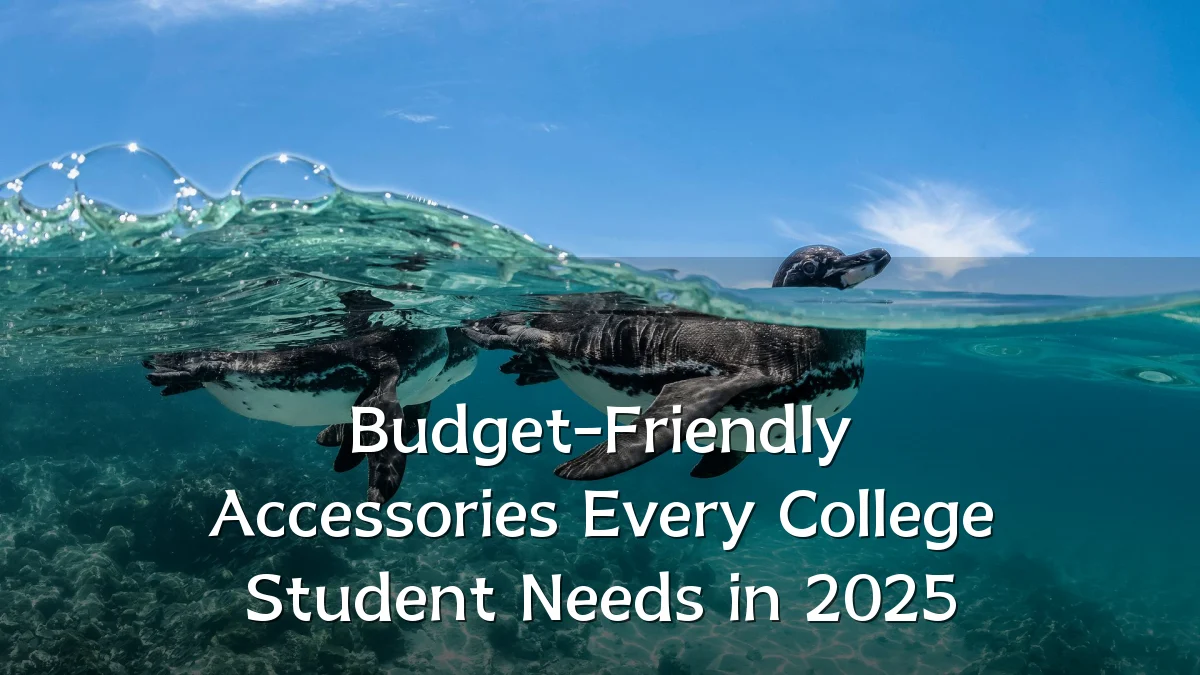 Budget-Friendly Accessories Every College Student Needs in 2025