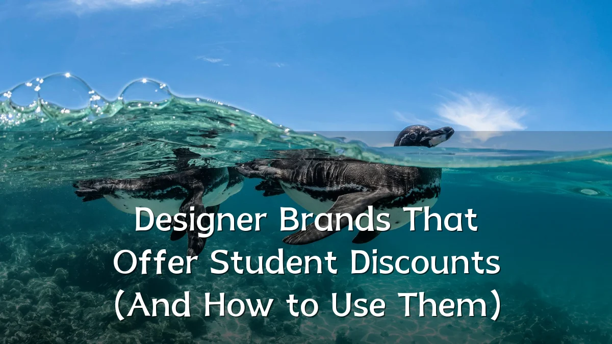 Designer Brands That Offer Student Discounts (And How to Use Them)