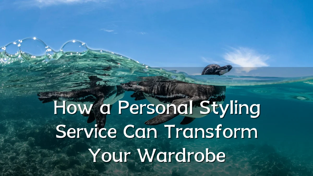 How a Personal Styling Service Can Transform Your Wardrobe