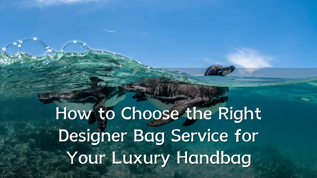 How to Choose the Right Designer Bag Service for Your Luxury Handbag