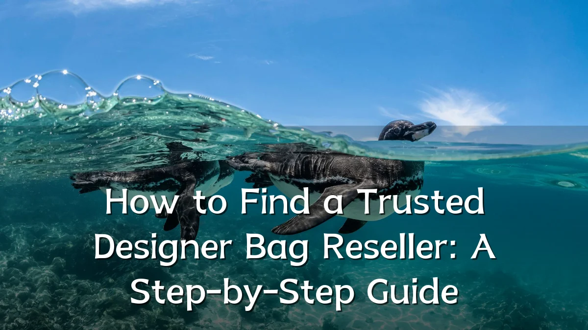 How to Find a Trusted Designer Bag Reseller: A Step-by-Step Guide
