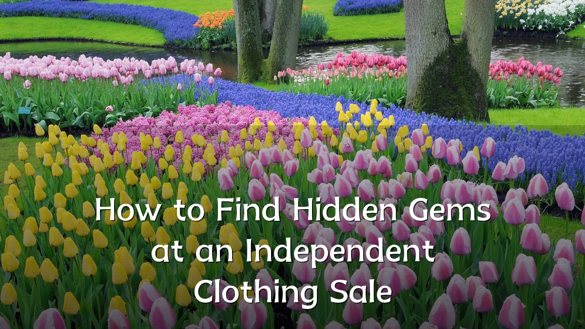 How to Find Hidden Gems at an Independent Clothing Sale