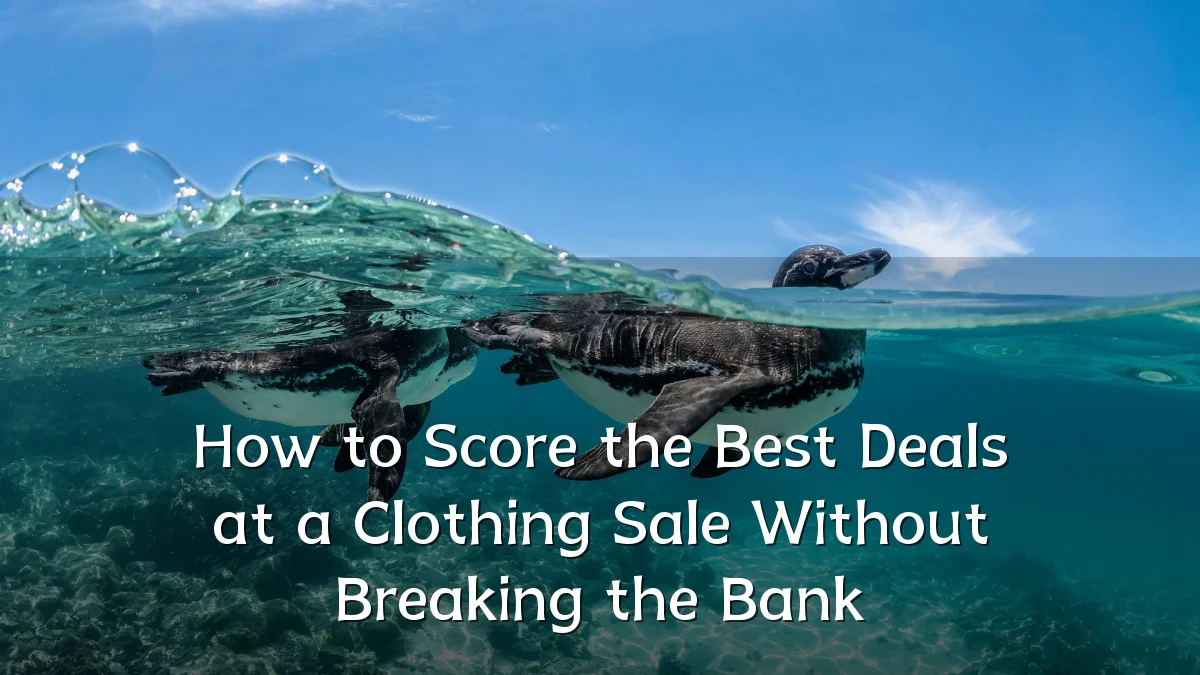 How to Score the Best Deals at a Clothing Sale Without Breaking the Bank