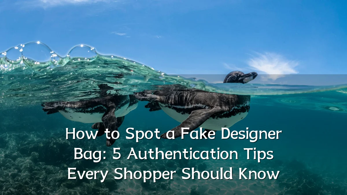 How to Spot a Fake Designer Bag: 5 Authentication Tips Every Shopper Should Know