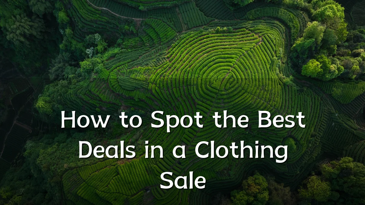 How to Spot the Best Deals in a Clothing Sale