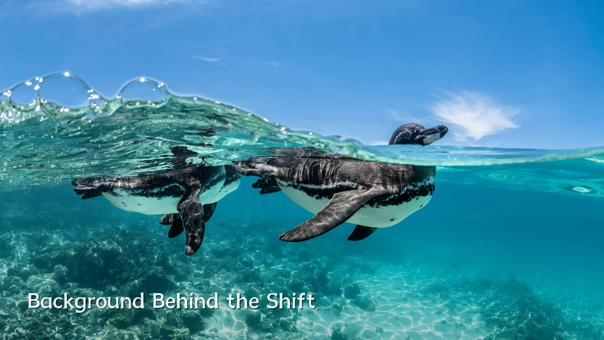 Background Behind the Shift