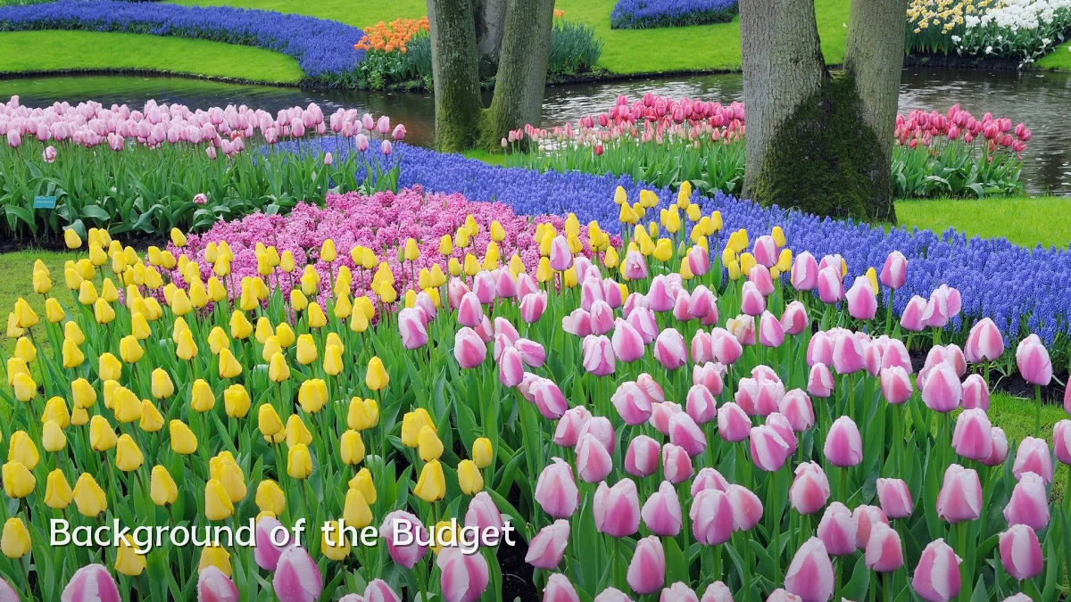 Background of the Budget