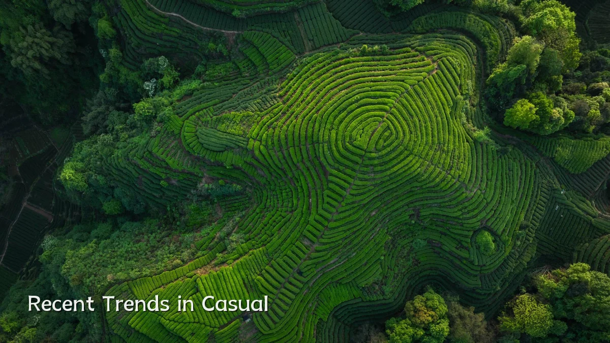 Recent Trends in Casual
