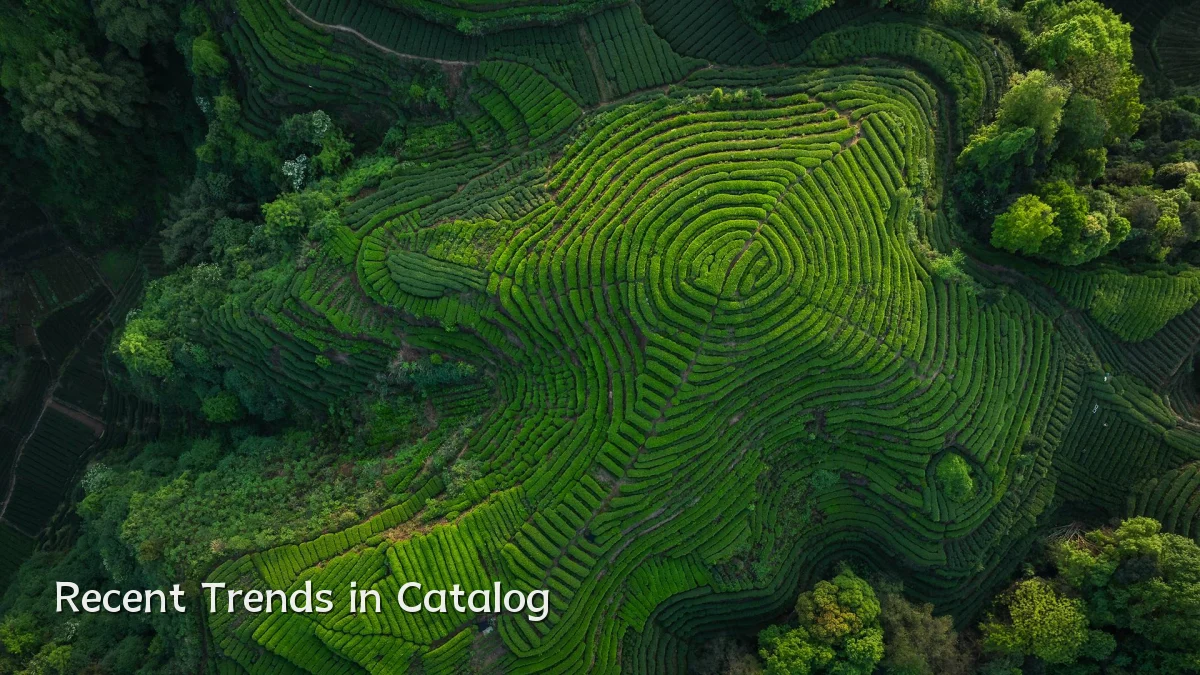 Recent Trends in Catalog