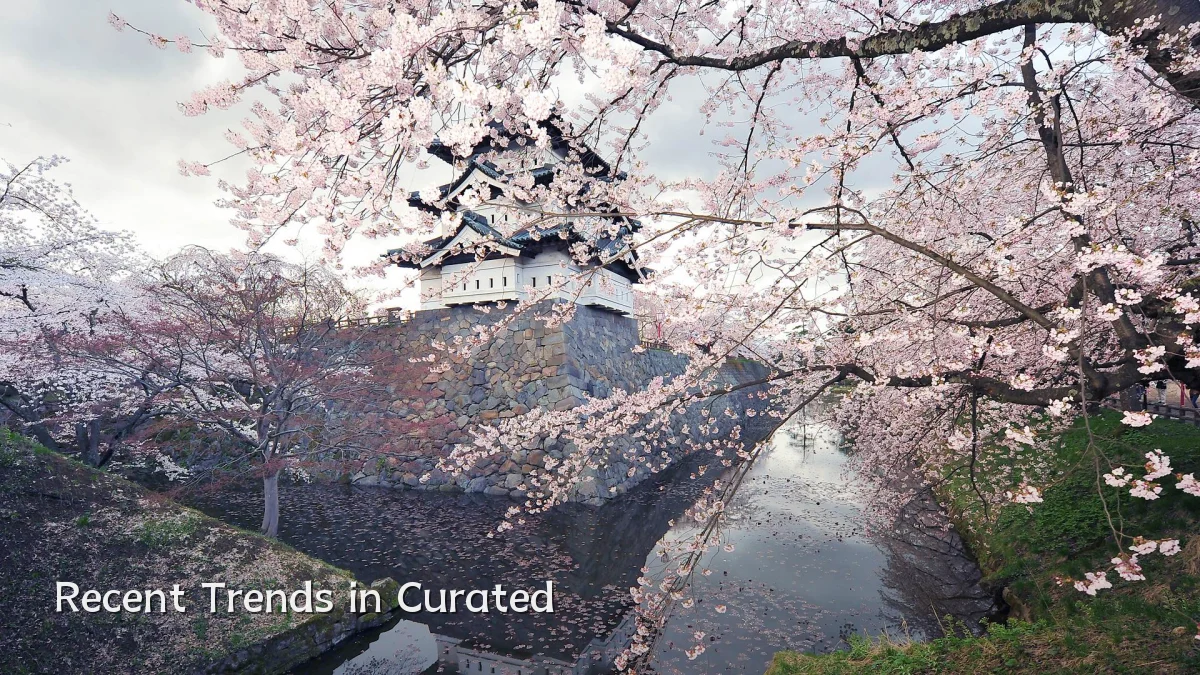 Recent Trends in Curated