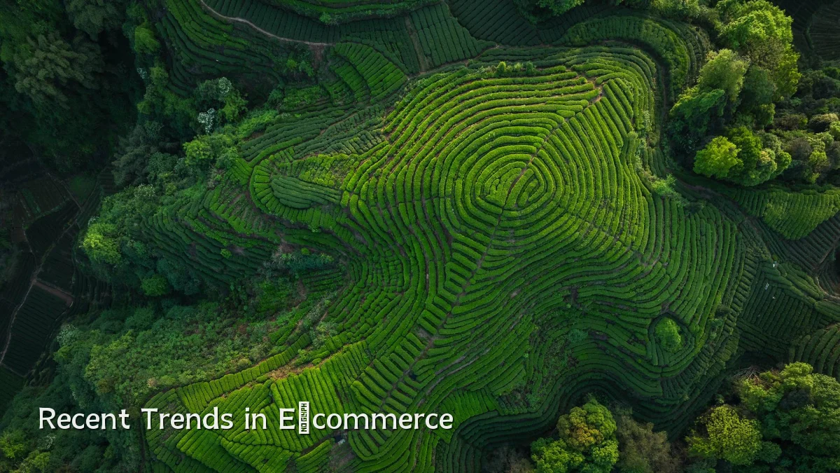 Recent Trends in E‑commerce