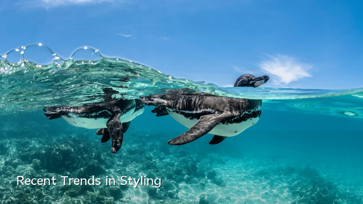 Recent Trends in Styling
