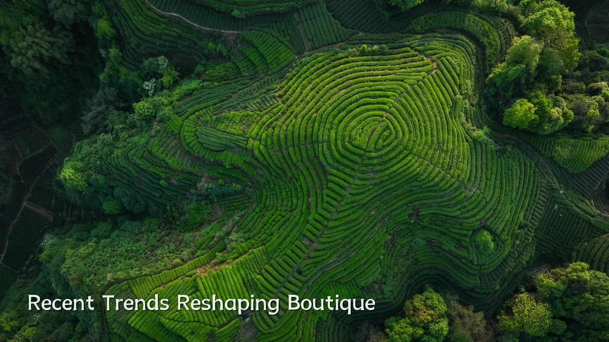 Recent Trends Reshaping Boutique