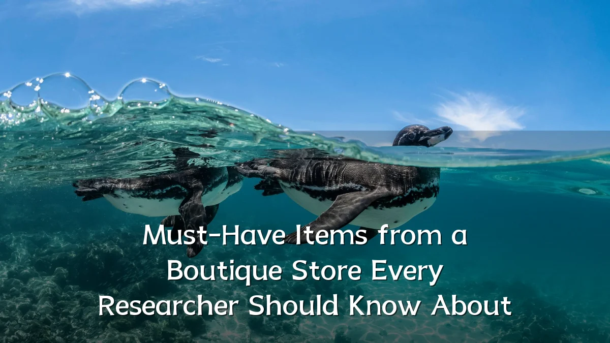 Must-Have Items from a Boutique Store Every Researcher Should Know About