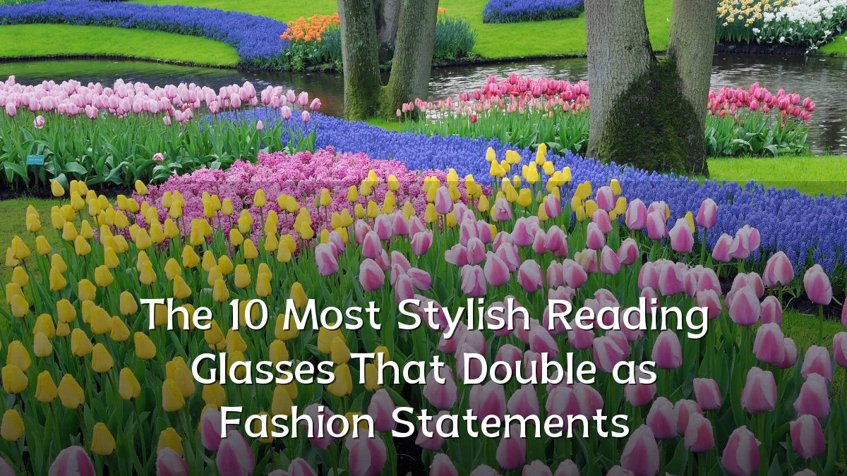 The 10 Most Stylish Reading Glasses That Double as Fashion Statements