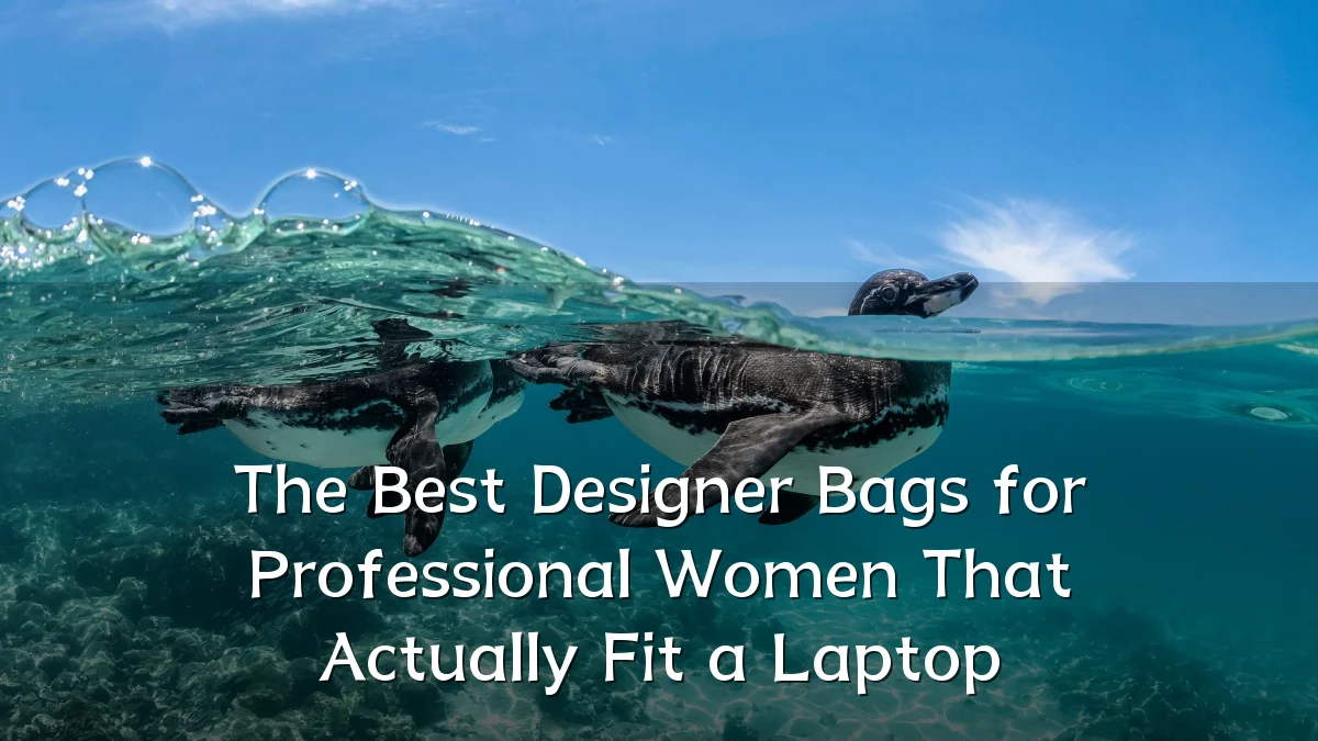 The Best Designer Bags for Professional Women That Actually Fit a Laptop