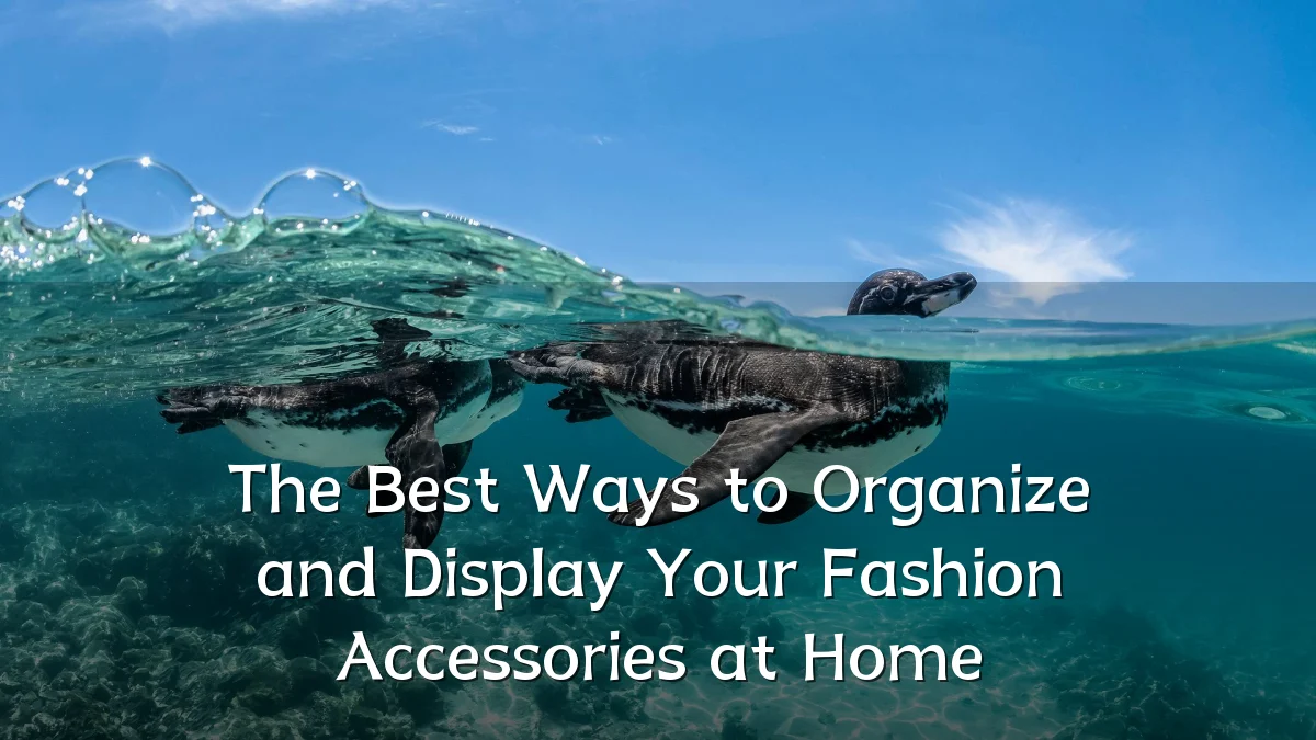 The Best Ways to Organize and Display Your Fashion Accessories at Home