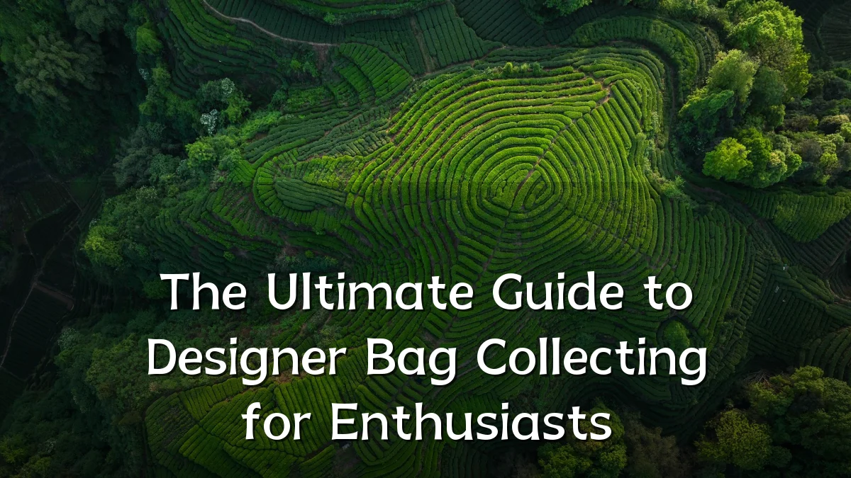 The Ultimate Guide to Designer Bag Collecting for Enthusiasts