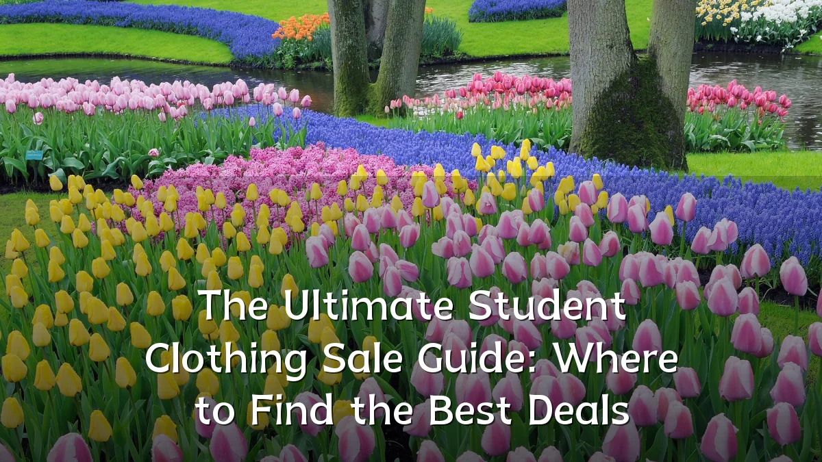 The Ultimate Student Clothing Sale Guide: Where to Find the Best Deals