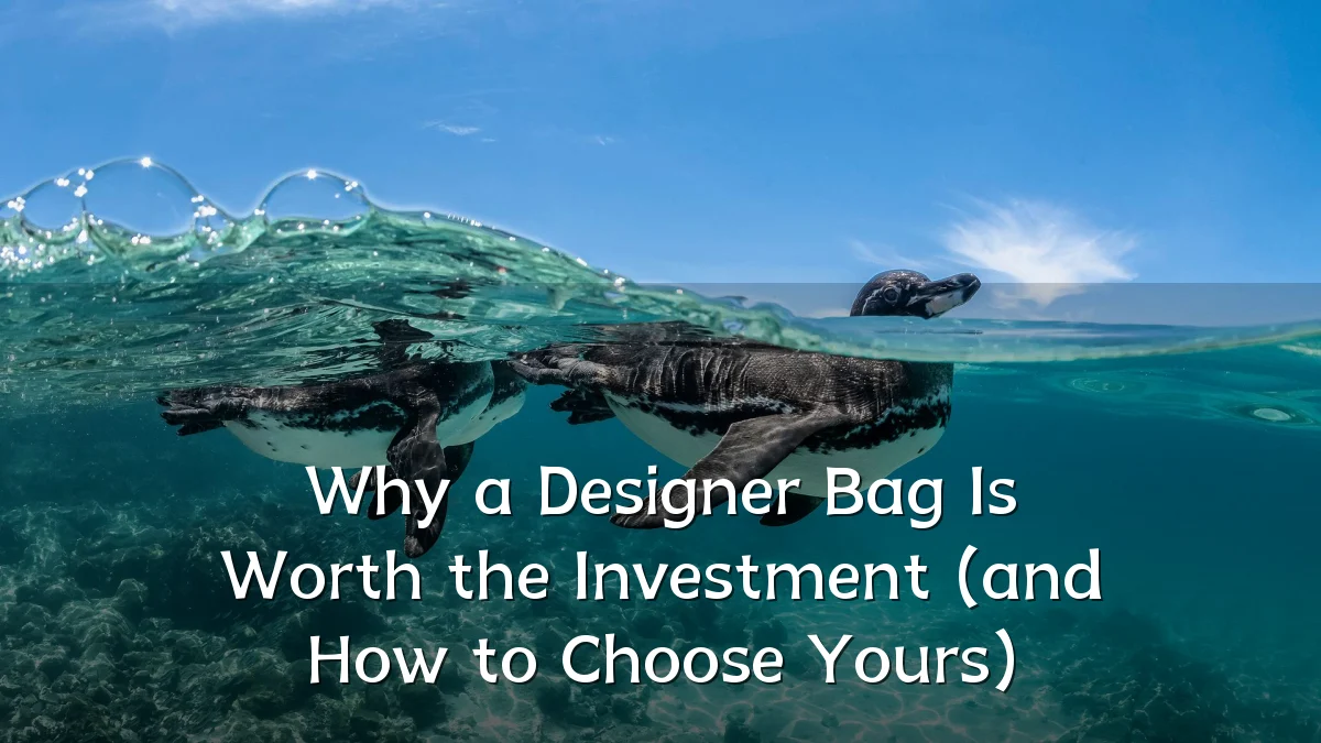 Why a Designer Bag Is Worth the Investment (and How to Choose Yours)