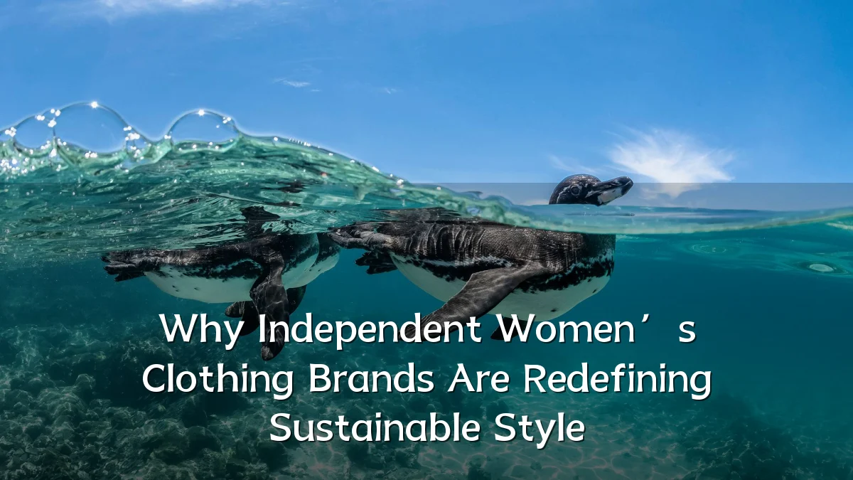 Why Independent Women’s Clothing Brands Are Redefining Sustainable Style