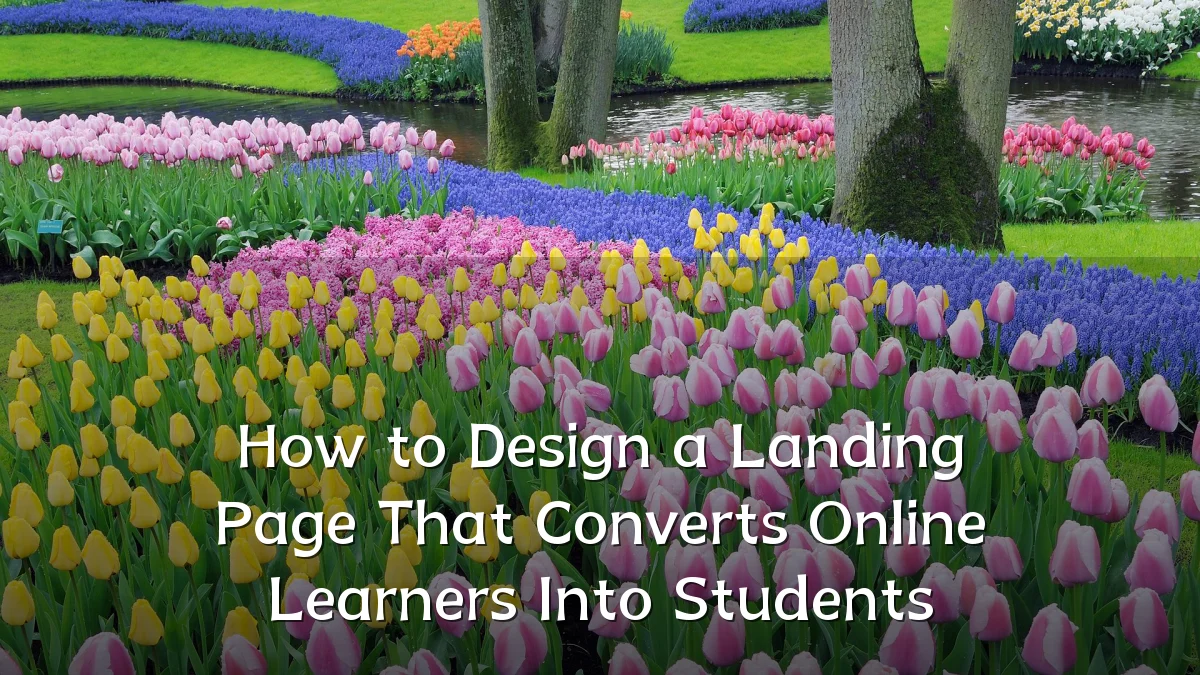 How to Design a Landing Page That Converts Online Learners Into Students