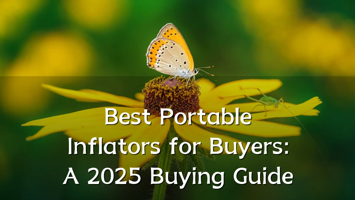 Best Portable Inflators for Buyers: A 2025 Buying Guide