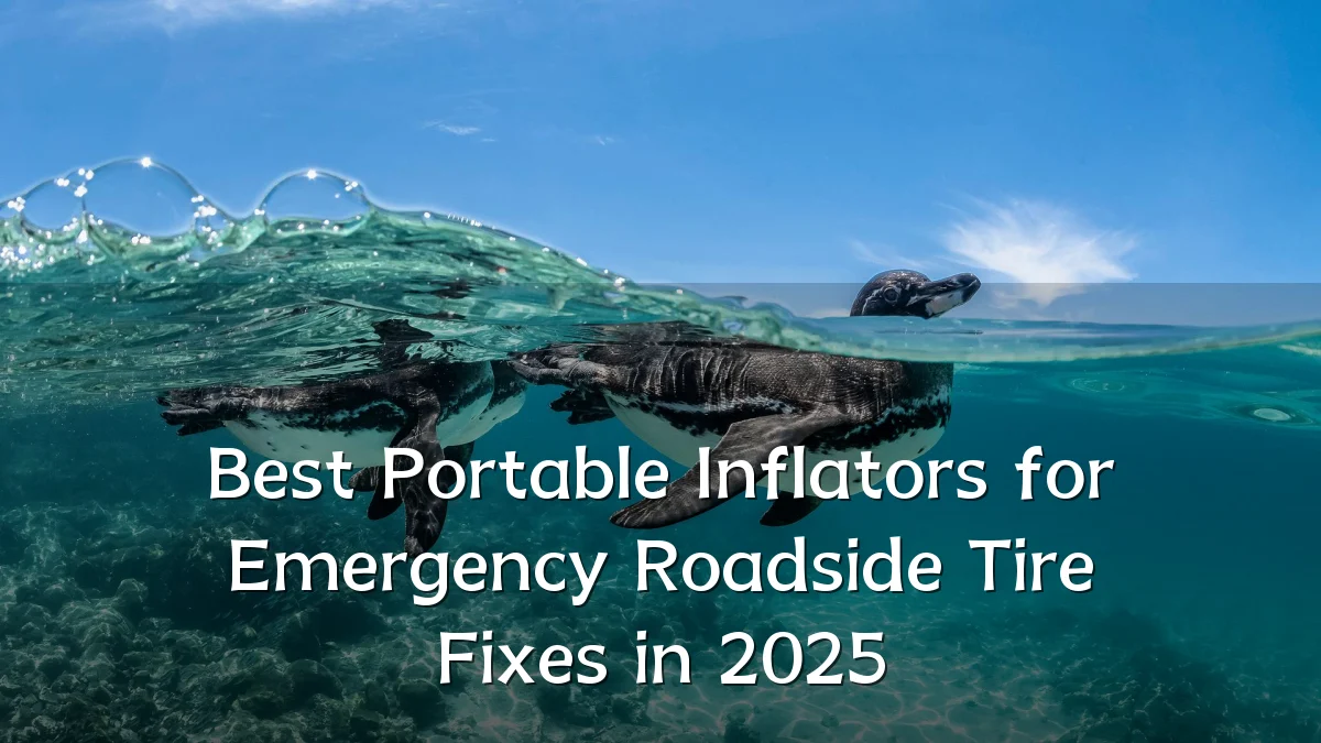 Best Portable Inflators for Emergency Roadside Tire Fixes in 2025