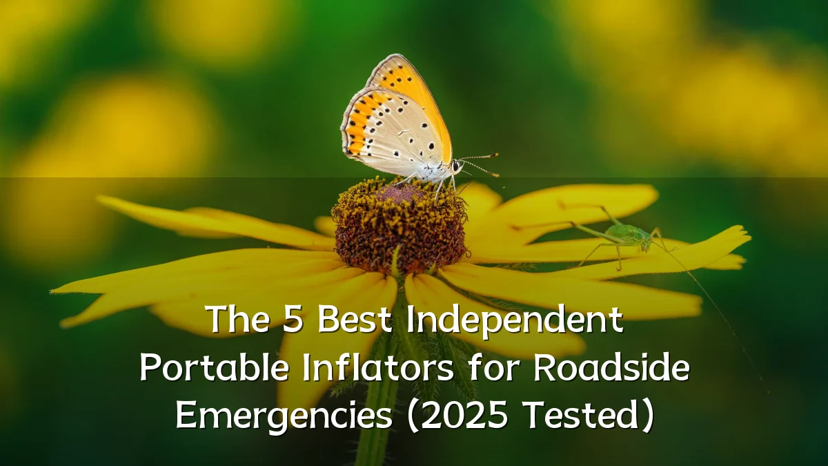 The 5 Best Independent Portable Inflators for Roadside Emergencies (2025 Tested)