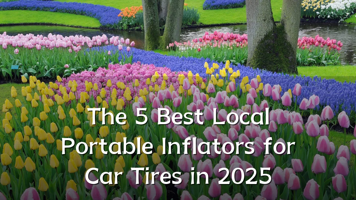 The 5 Best Local Portable Inflators for Car Tires in 2025