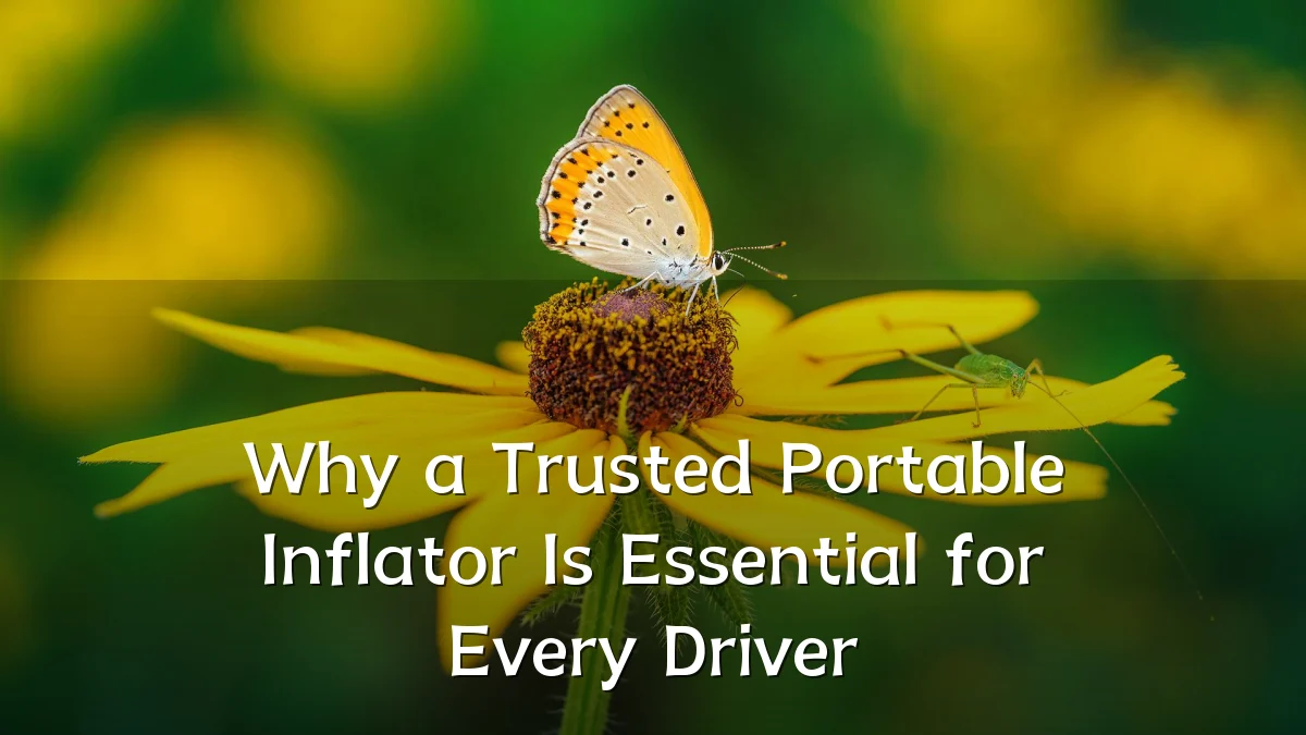 Why a Trusted Portable Inflator Is Essential for Every Driver