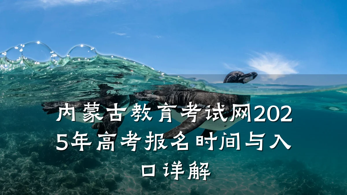 内蒙古教育考试网2025年高考报名时间与入口详解